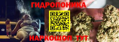 мдпв Пенза