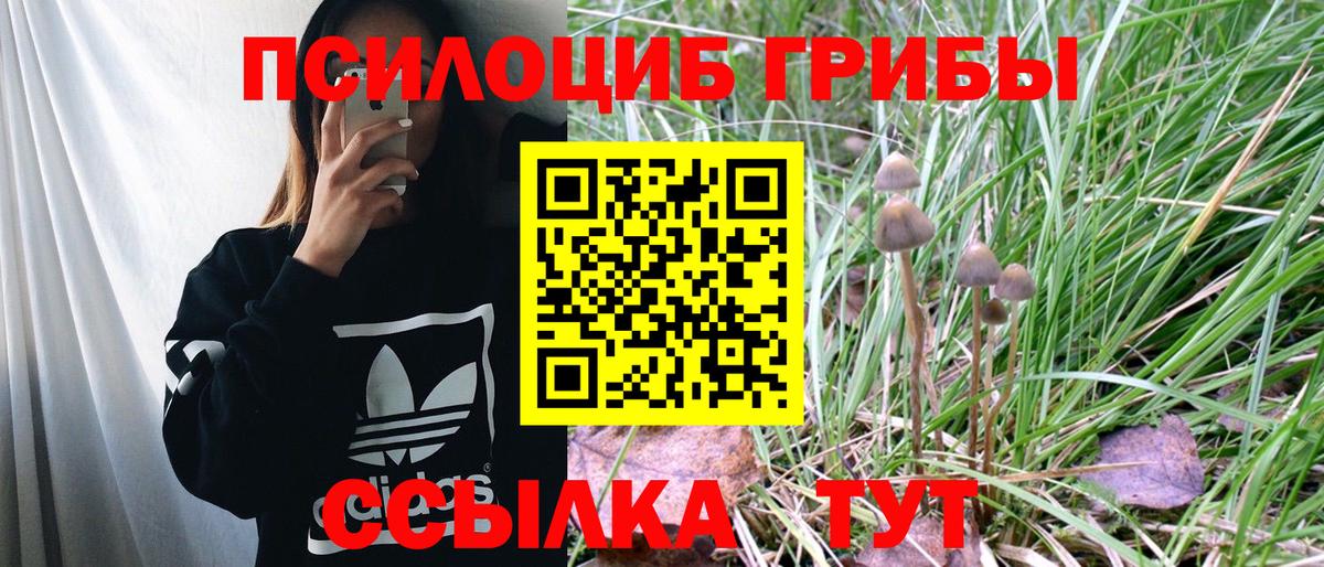 Галлюциногенные грибы ЛСД  Темрюк 