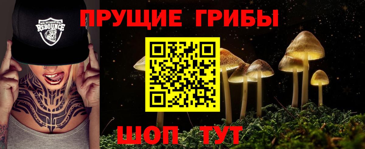 Псилоцибиновые грибы Cubensis Темрюк