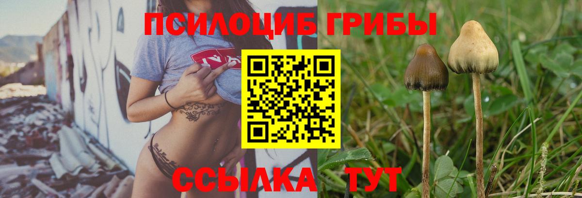 Темрюк  Псилоцибиновые грибы ЛСД  Вход с VPN 