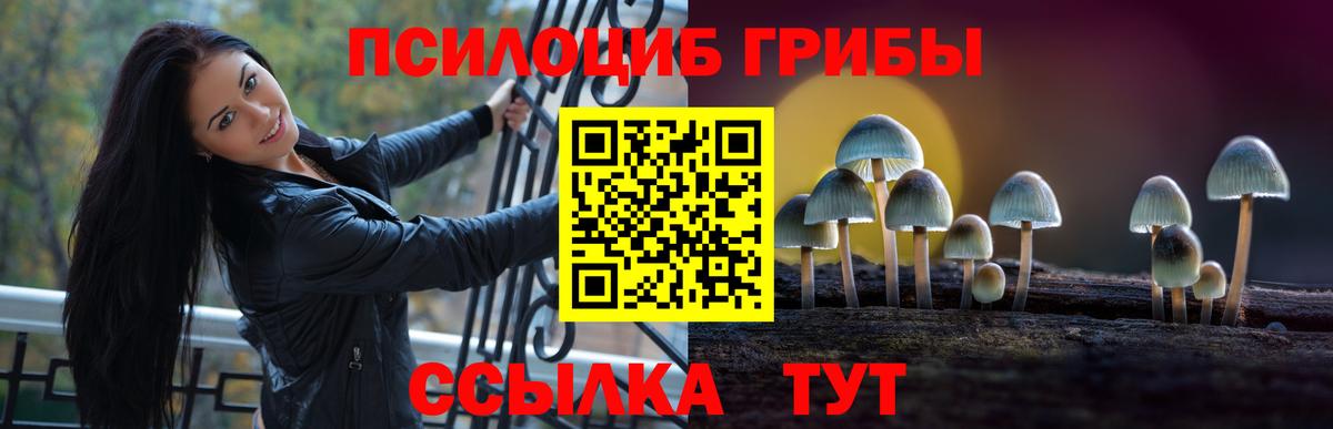 Псилоцибиновые грибы Psilocybine cubensis Темрюк